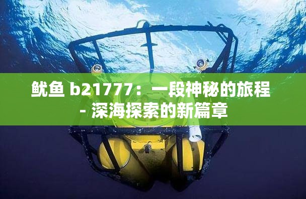 鱿鱼 b21777：一段神秘的旅程 - 深海探索的新篇章