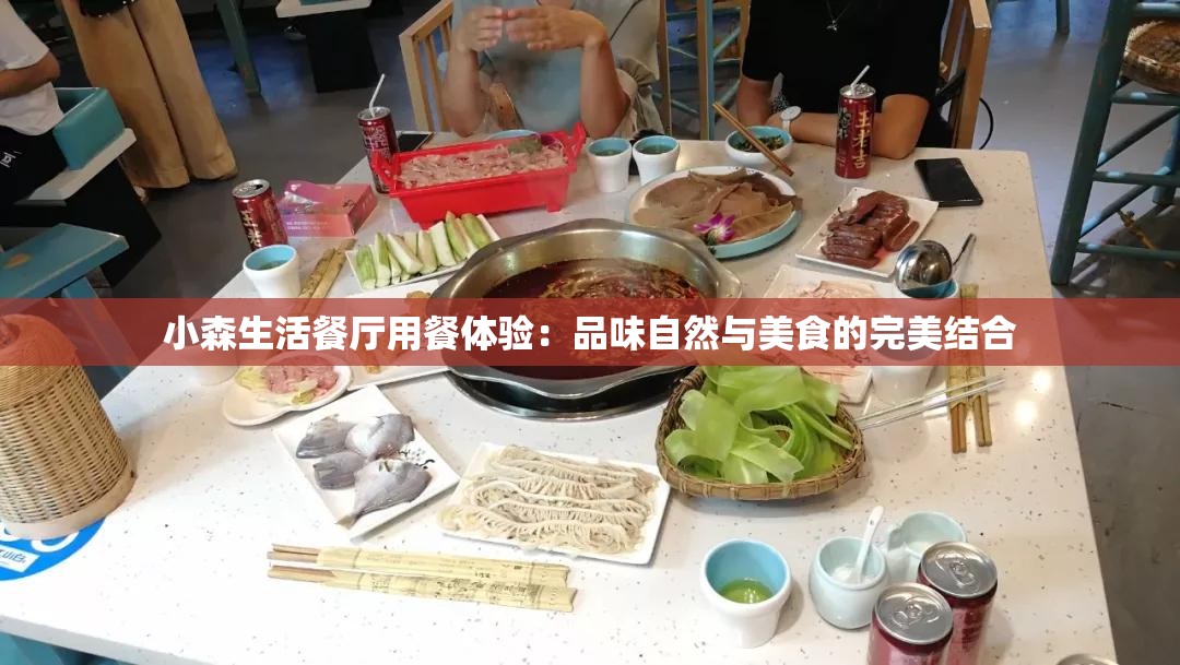 小森生活餐厅用餐体验：品味自然与美食的完美结合